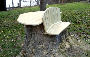 Stump Seat